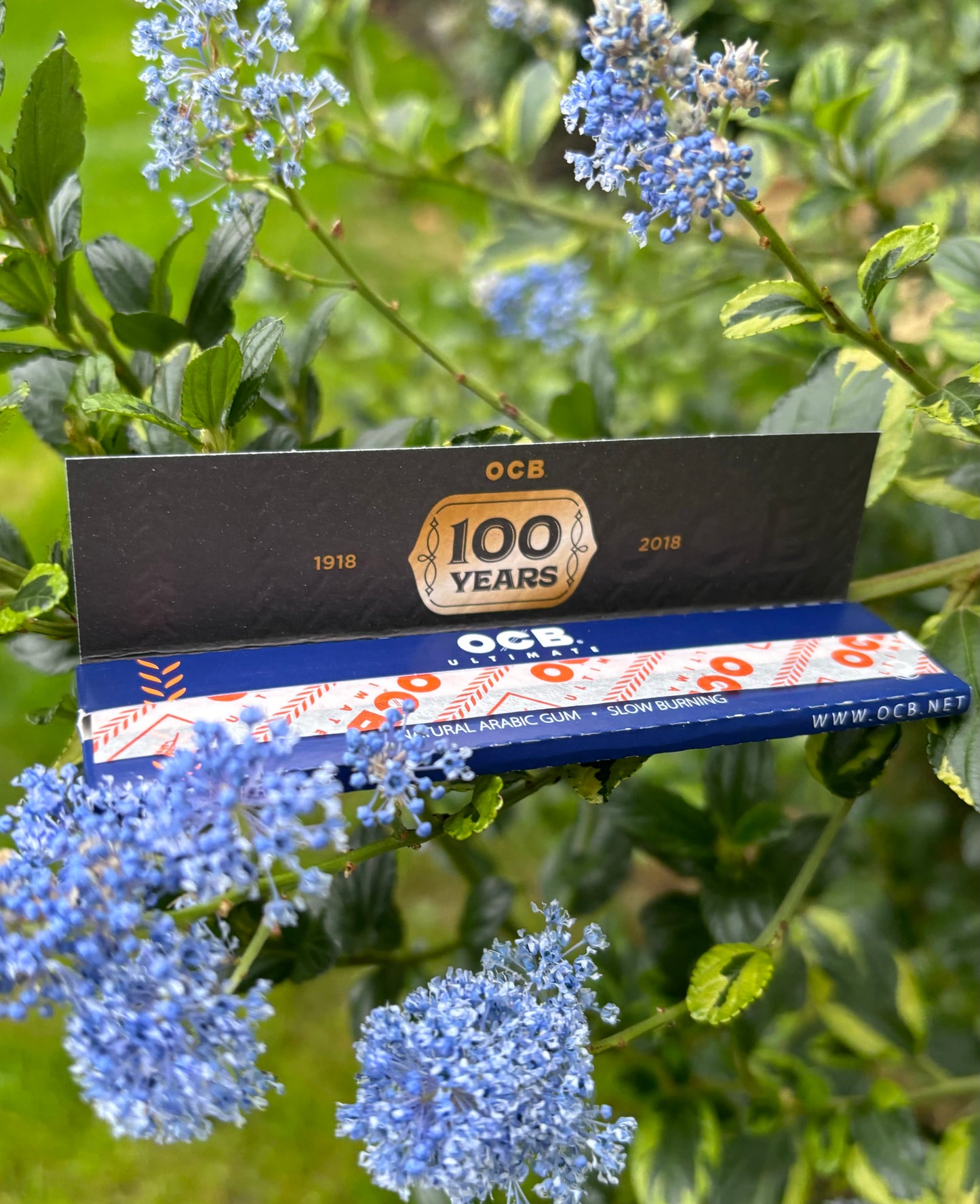 OCB Ultimate Slim 100 Year Anniversary KingSize Papers