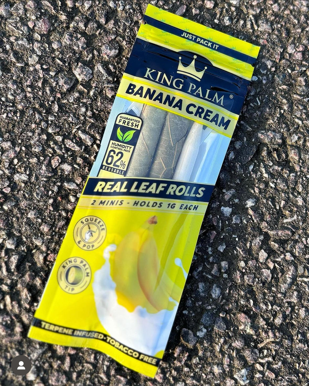 BANANA King Palms Real leaf Rolls